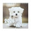 2026 Wall Hanging Art Calendar With Bold Illustrations And Large 1
