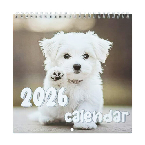 2026 Wall Hanging Art Calendar With Bold Illustrations And Large