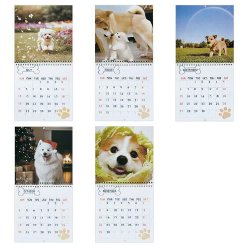 2026 Wall Hanging Art Calendar With Bold Illustrations And Large 1