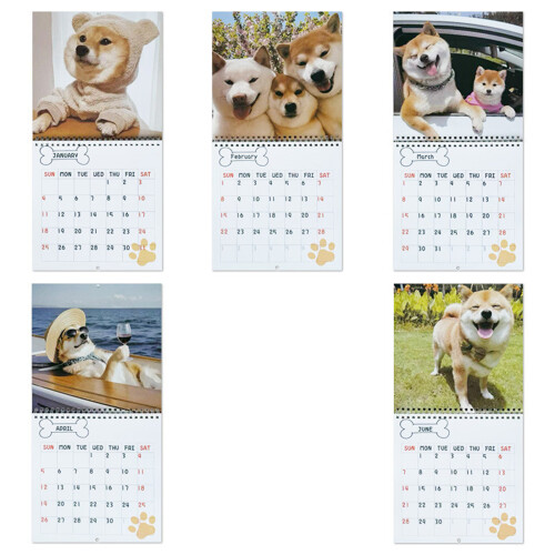 2026 Wall Hanging Art Calendar With Bold Illustrations And Large 2