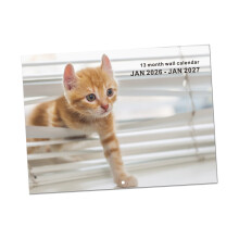 2026 Cats Themed Wall Calendar With Vibrant Illustrations Paper