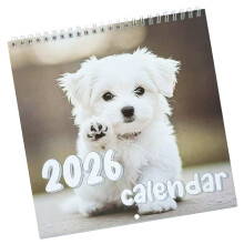 2026 Art Wall Calendar Thick Coated Paper Sheets Colorful Colors