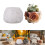 Versatile Silicone Mould In Rose Shape for Art or Garden Projects 2
