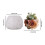 Versatile Silicone Mould In Rose Shape for Art or Garden Projects 3