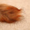 Realistic Squirrel Ornament With Pinecones Christmas Tree-1 7