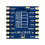 SX1262 LoRa 915Mhz Wireless Transceiver Receiver Module Lora1262 IoT Module Low-Power LoRa RF Communication Module 3