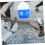 Water Feeder Automatic Drinking Tool 4L Capacity Blue Plastic Outdoor Bird Waterer 2