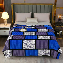 Blue Purple Plaid Flannel Throw Blanket 40'x60' Ultra Soft Plush for Couch and Bed All Seasons