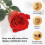 Forever Flowers σε Πολυτελές Κουτί Δώρου, Τριαντάφυλλα Μακράς Διάρκειας με Σύμβολο 2