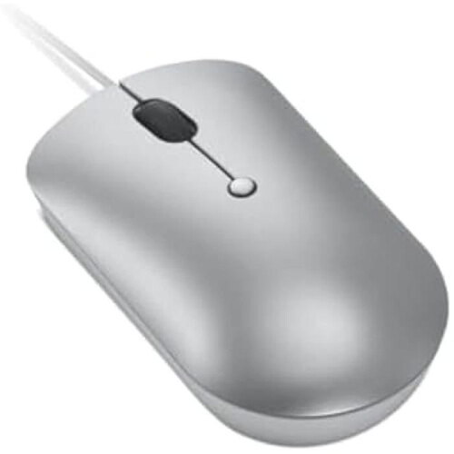 Lenovo Lenovo 540 mouse Office Ambidextrous USB Type-C Optical