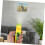 Projection Flashlight Interactive Toy With Adjustable Patterns, Lightweight And Portable For Cognitive Development 3