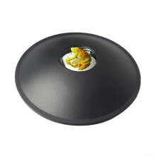 Interactive Holographic Projector For Children Educational Holographic Display Yellow Frog Model Kids Science Activities