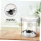 15Pcs Transparent Insect Observation Boxes with Ventilated Cage for Science Exploration and Nature Study Containers 3