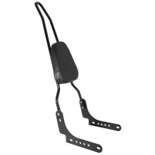 Detachable Sissy Bar Motorcycle Passenger Backrest for Harley Nightster 975 for LongDistance Comfort