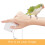 Parrots Wire Rope Parrots Leashes Retractable-White 3.8mm ring 7