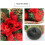 5pcs Holiday Pine Needle Christmas Decorative Tree for Home-Red 5