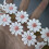 1 Yard bestickter Blumen-Spitzenbesatz, 25 mm breit,-Weiß 7