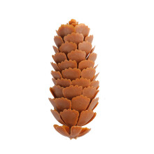 100 stuks handgemaakte dennenappels charme-6 cm vuren grenen