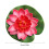 6Pcs Artificial Floating Pond Plant Decorations for-water pink 4