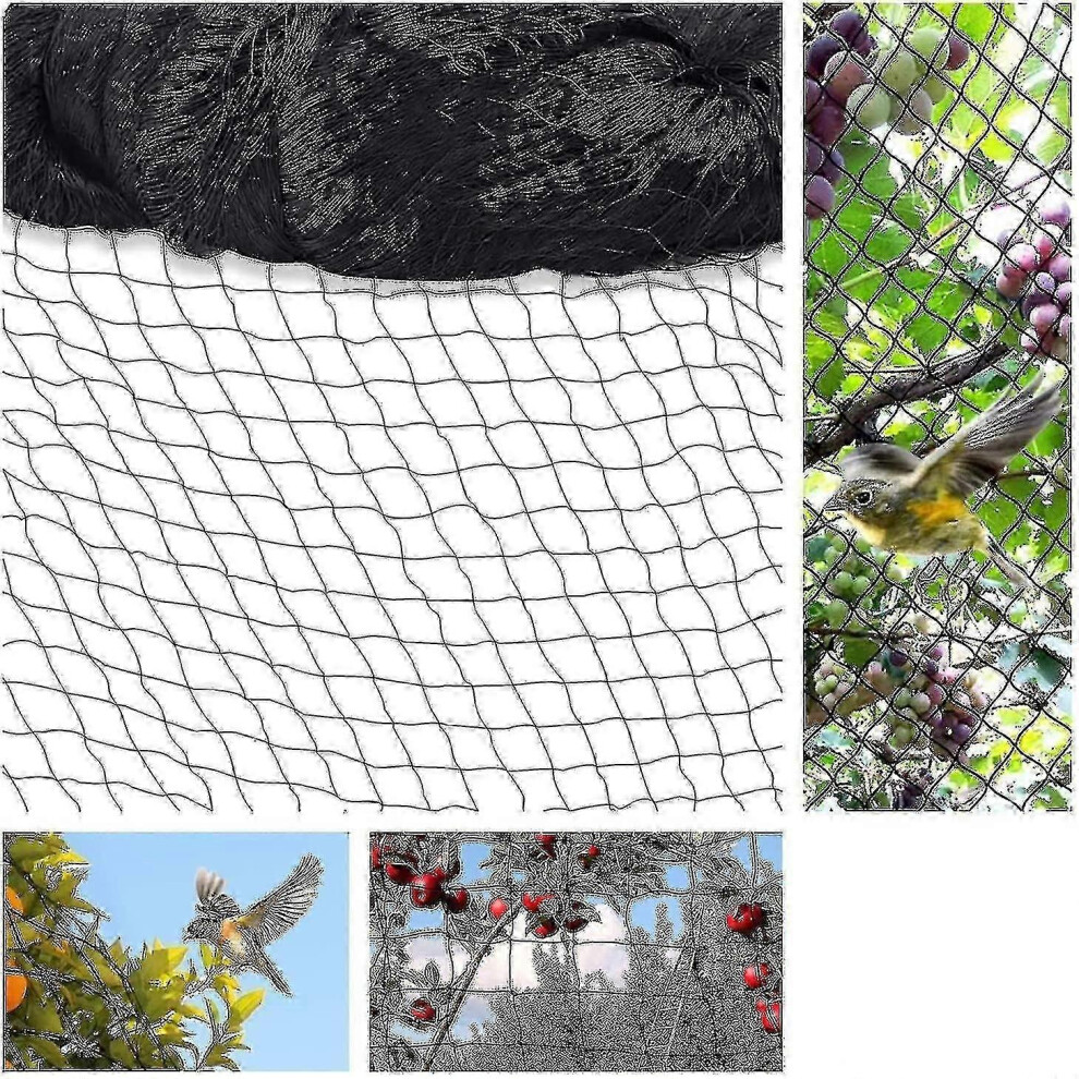 Bird netting 15m x 15m, bird protection netting, plant netting, pond netting, garden netting, large 5 x 5 cm holes, 2024 Ping