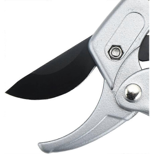 Pruning shears, secateurs, scissors, pruners, hand pruners 1