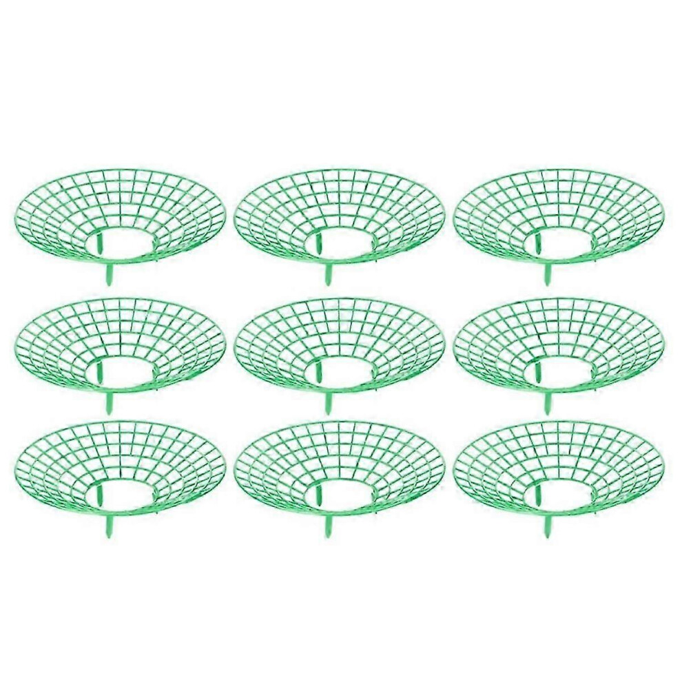 Pack of 25 strawberry plant supports, protection against mold, rot and dirt