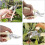 Garden pruner, manual pruner, pruner for branches, flowers, fruit, bonsai (plastic) 5
