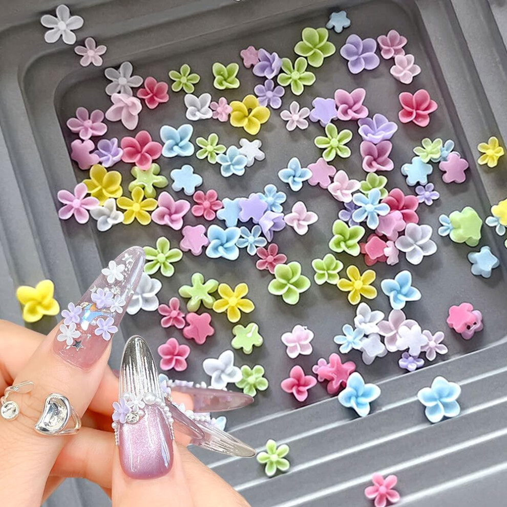 Mixed Size Colorful 3D Flower Nail Charms Bulk, Resin Five Petal Frangipani Nail Art Decorations
