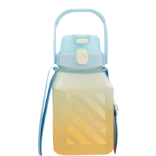 Waterfles met anime-thema, transparant patroon, duurzame en draagbare geïsoleerde beker van roestvrij staal voor buitenactiviteiten, 510 ml