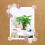 10/20/30Pcs Flower Push Pins Decorative Thumbtacks-30 pieces 2