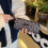 Geribbelde etui Gladde schuifopening Ruim interieur-7 6