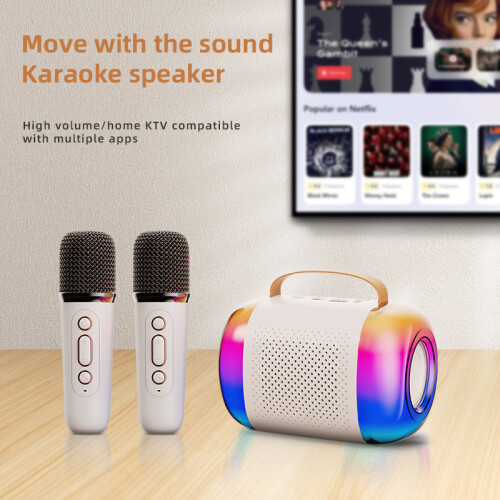 Y5-Doppelmikrofon-Karaoke-Maschine mit Bluetooth-Lautsprecher 2
