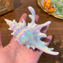 Large NonSlip Conch Shell Hair Claw Clip 5 Inch for Thick Hair Women Strong Hold Updos