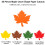 60 Fall Thanksgiving Cards Maple Leaf Patterned Paper for 7