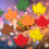 60 Fall Thanksgiving Cards Maple Leaf Patterned Paper for 6