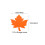 60 Fall Thanksgiving Cards Maple Leaf Patterned Paper for 3