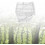 Square Watermelon Mold 15cm Durable PP Fruit Shaping Tool for Garden Growing 4
