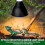 Optimized Lamp Shade For Reptile Environments, Advanced Optical Reflection Cover Ensures Even Lighting 5