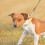 GPS Tracker For Dogs AntiLost Wireless Tag, Compatible With Android And iPhone, White 2