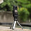 Camera Mounting Bracket LShape Aluminum Alloy Horizontal And Vertical Shooting Stand For Cameras 2