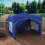 Party Tent 3