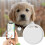 Tracking Device For Elderly, Children And Pets  Waterproof, Replaceable Battery, White Pet Tracker 2