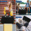 Η μόδα συναντά τη λειτουργία: Γυναικείες τσάντες ταξιδιού, τσάντα γυμναστικής 5