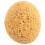 4Pcs Texture Sponge Drywall Texture Sponge Texture Patch Sponge for Texture Repair DIY Painting Ceiling (12 x 9 x 7cm) 5