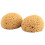 4Pcs Texture Sponge Drywall Texture Sponge Texture Patch Sponge for Texture Repair DIY Painting Ceiling (12 x 9 x 7cm) 2