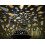 Himmlische Lichtinstallation, Farbwechsel, 360-Projektion, sichere Materialien, tragbares Design, Timerfunktion, einstellbare Helligkeit, 6