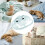 Cat Window Bed Suction Cup Window Hammock Indoor Cats Kittens Green A 3