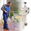 Professioneller Austausch der 2
