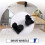 For Lydsto W2/Lydsto W2 Lite/Lydsto W2  Sweeper Left & Right Drive Wheels Pulley Roller 3