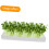 Plant Germination Tray Rectangular Plastic Sprout Tray For Mason Jar Cultivation Easy To Clean Kitchen Seed Sprouting 2